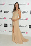 Alessandra Ambrosio アレッサンドラ・アンブロジオ
