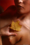 Alvira - Red Autumn-l076sacd4x.jpg