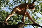 Alizeya A - Tree Monkey 3 -w4bjjh4duz.jpg